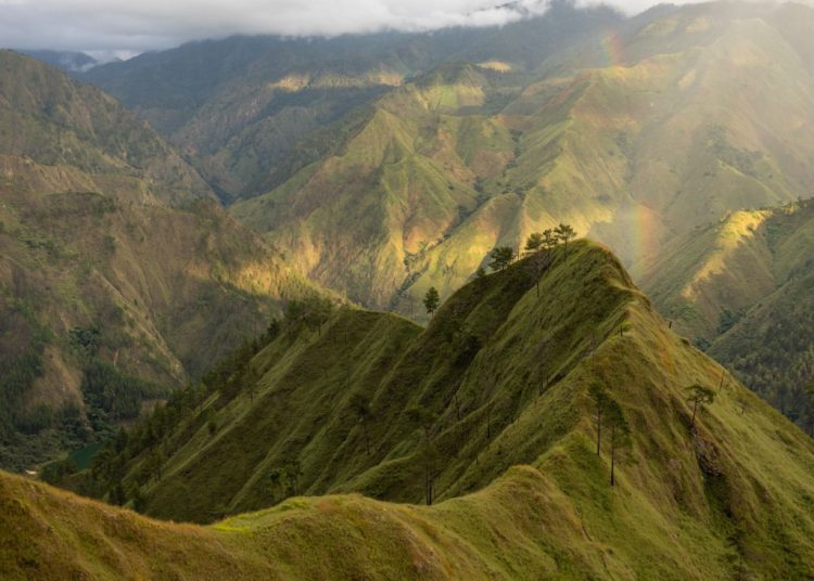 A partir del 21 de enero de 2026, quedará habilitada una nueva ruta ecoturística de la presa Palomino.