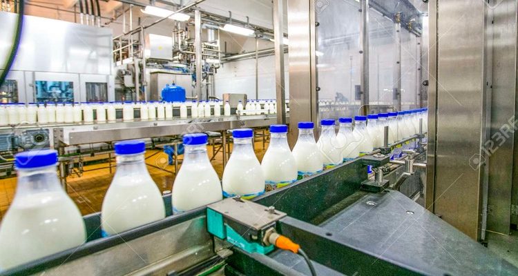 "Son 150 millones de hogares en el mundo que se dedican a la producción láctea", dijo la representante de la FAO en Ecuador.