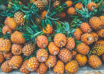 La piña amplía su presencia en la agricultura.