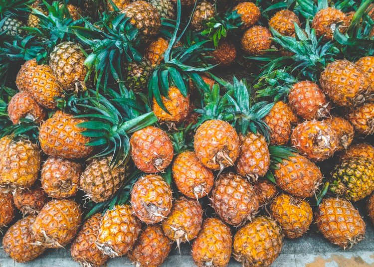 La piña amplía su presencia en la agricultura.
