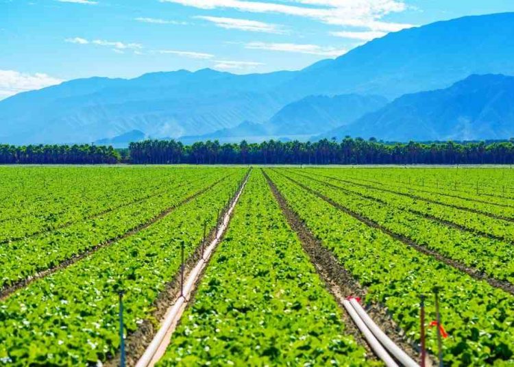 productores agropecuarios