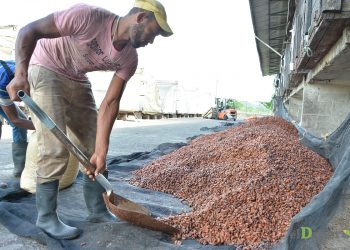 Organizar el mercado implica mejorar las condiciones de vida de las zonas rurales.