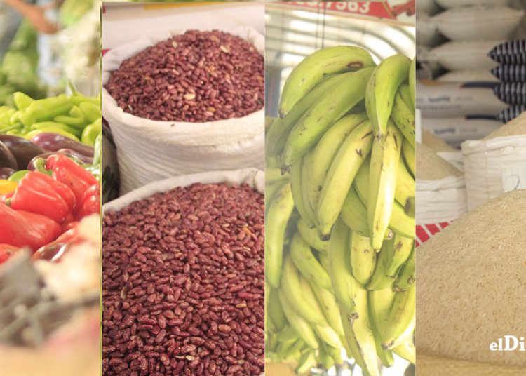 Fotografía: Ronny Cruz.