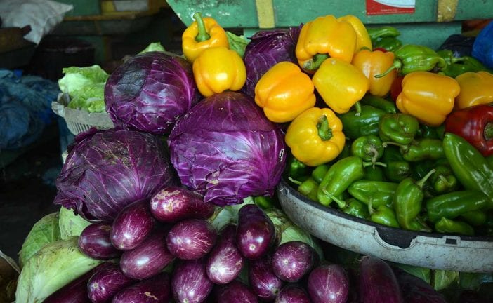 productos mercado agropecuaria