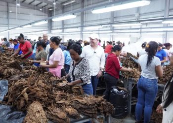 Proindustria difunde datos actualizados sobre la ocupación y expansión de zonas francas y parques industriales.