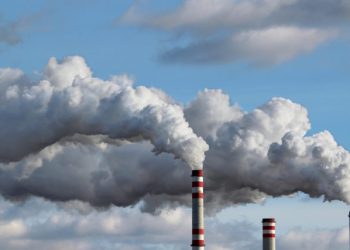 Detalla que, en 2024, más del 80% del gasto ambiental se dirigió a la protección de la biodiversidad y la gestión de desechos, con un total de RD$6,964.41 millones asignados a esta área.