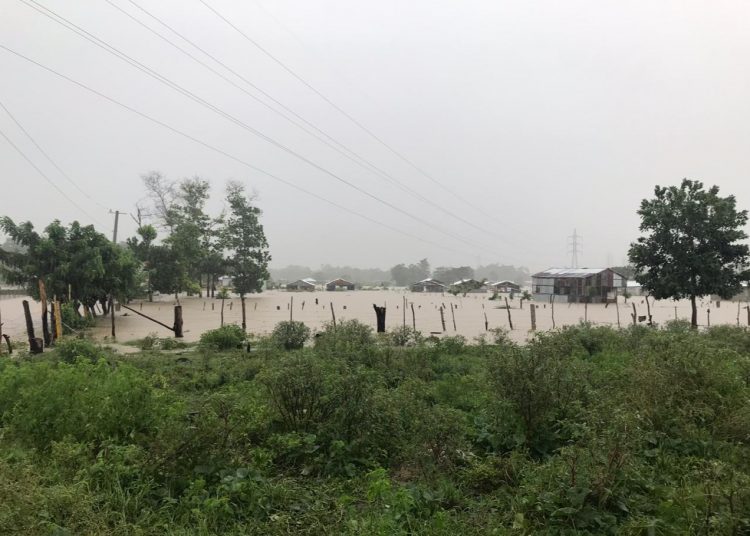 El proyecto el Nuevo Ambiente en el distrito municipal Palmarejo-Villa Linda. | María del Carmen Guillén