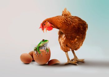 El estafador le saca ventaja a la ignorancia y a la avaricia. | Fuente externa