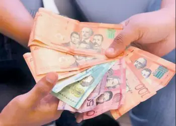 Los datos obtenidos a través de los censos nacionales permiten analizar las tendencias laborales y las condiciones de empleo.