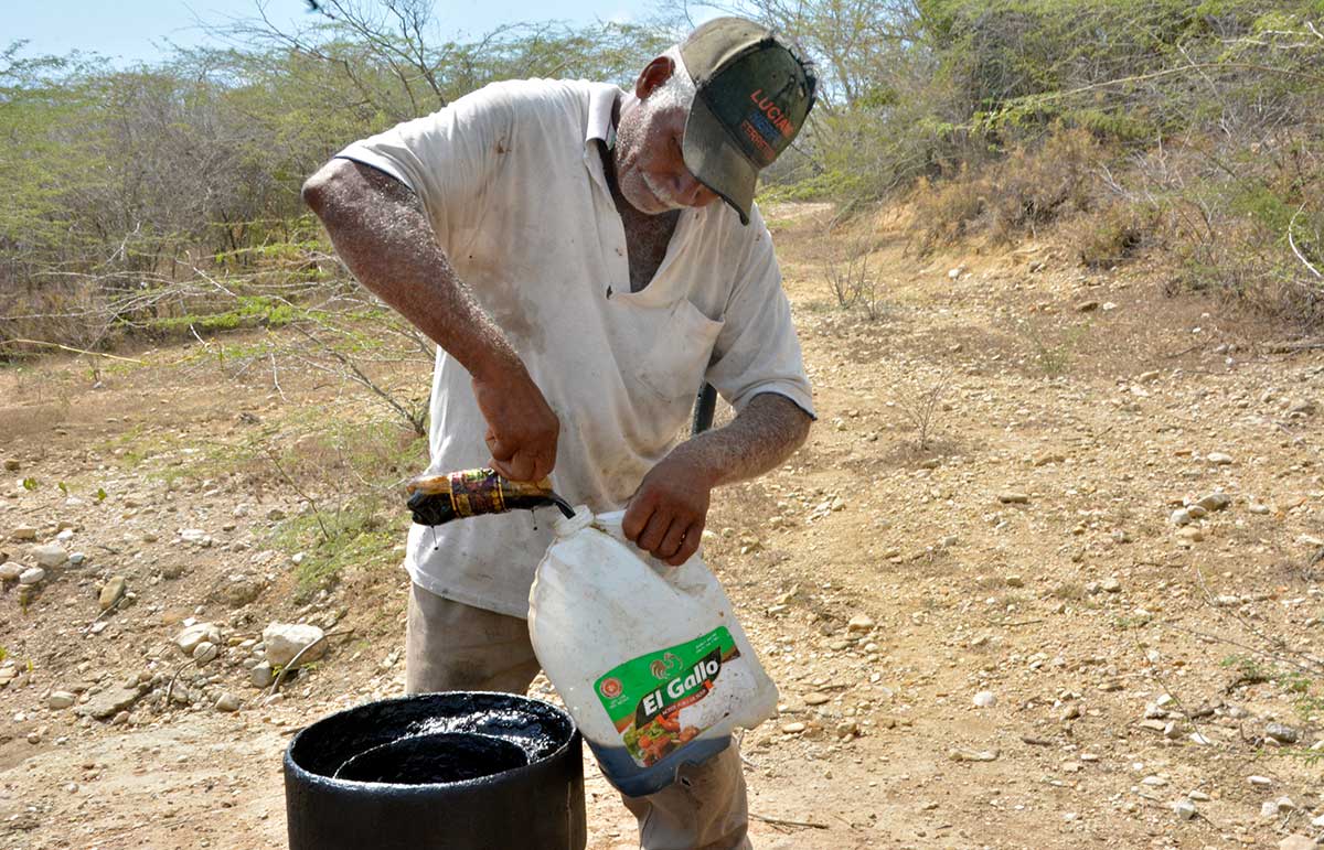 rafael perez el tison petroleo