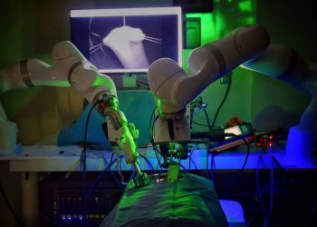 Según el jefe del equipo de ingenieros, los robots son capaces de limitar por si solos la fuerza con la que operan. | Fuente externa.