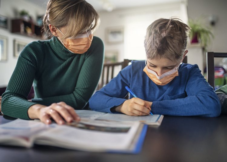 Profesores, docentes, maestros