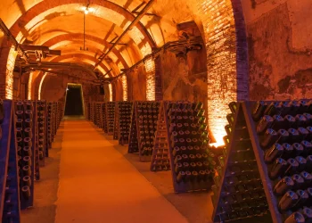 En diez años, las importaciones han ganado 12 puntos de cuota de ventas con respecto a las ventas en Francia. - Fuente externa.