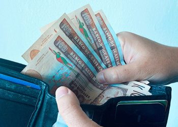 Por su parte los salarios agrícolas en el resto del país subirán hasta los 102,44 quetzales (€11.95 ). Fuente externa.