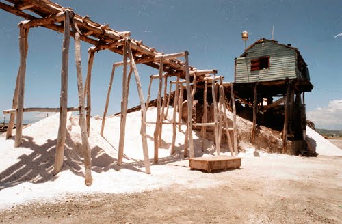 La producción de sal no tiene costos en la materia prima, por lo que sus beneficios deben ser constantes.