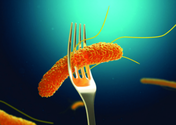 Comida contaminada - Fuente externa.