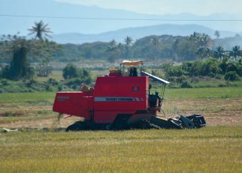sector-agricola-mano-de-obra-extranjera