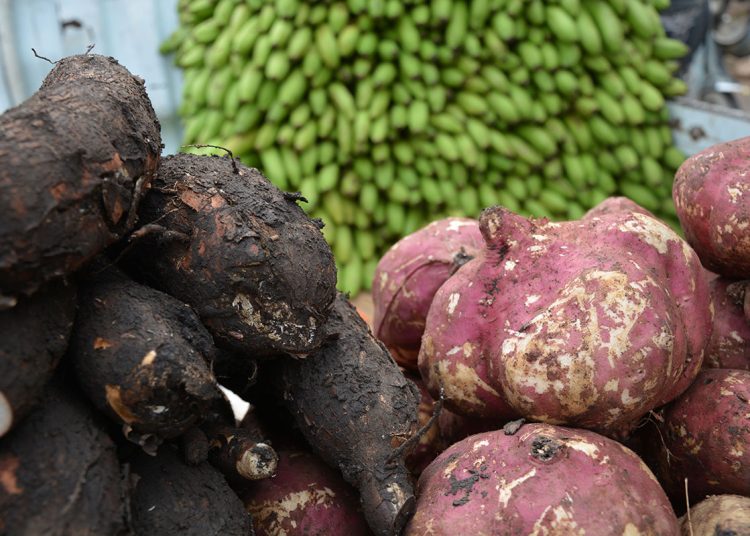 En 2023, la participación del sector agropecuario alcanzó un 6.4%, el nivel más alto en todo el período analizado.