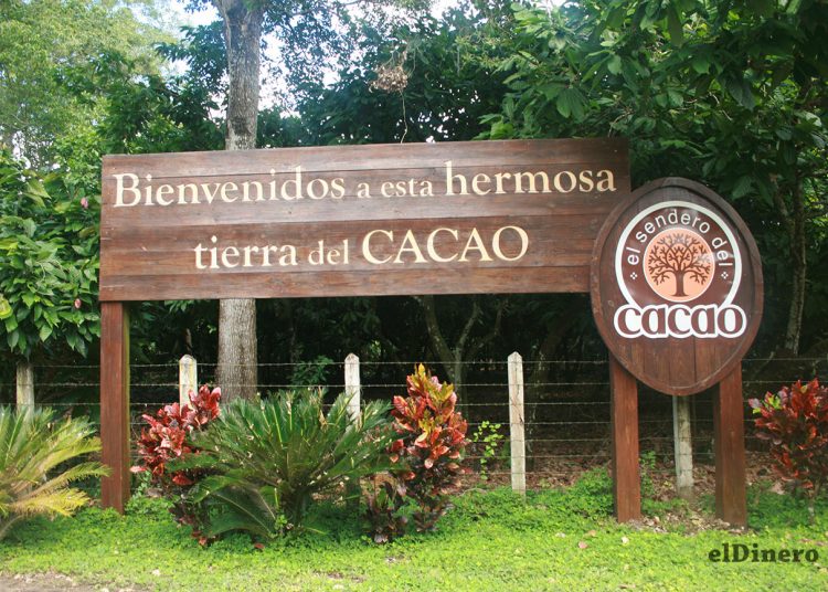 El Sendero del cacao es un destino idóneo para los aficionados del chocolate orgánico.