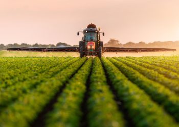 El sector agropecuario tiene un importante papel a la hora de erradicar la pobreza y el hambre y reducir las desigualdades de forma permanente. - Fuente externa.