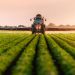 El sector agropecuario tiene un importante papel a la hora de erradicar la pobreza y el hambre y reducir las desigualdades de forma permanente. - Fuente externa.