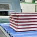 Conforme con las estadísticas el MICM, actualmente existen 1,113 industrias de elaboración de edición, grabación e impresión formales. - Fuente externa.