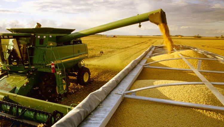 La producción de soja, el principal cultivo del país, aumentará un 3.6%, pero no será suficiente para compensar la caída del maíz. - Fuente externa.