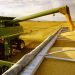 La producción de soja, el principal cultivo del país, aumentará un 3.6%, pero no será suficiente para compensar la caída del maíz. - Fuente externa.