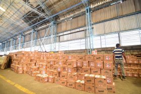 solidaridad empresarial haiti 5