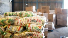 solidaridad empresarial haiti 6