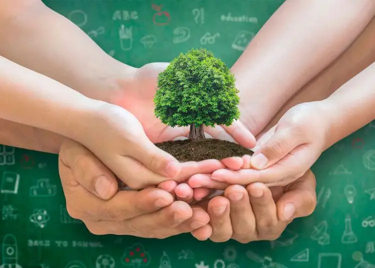 Fomentar la educación ambiental es clave para construir una sociedad más sostenible