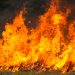 Suramérica tenía este lunes 2,762 incendios forestales activos y la situación más preocupante era la de Brasil, con 966 focos (34.9% del total); Bolivia, con 956 (34.6%), y Argentina, con 659 (23.6%). - Freepik.