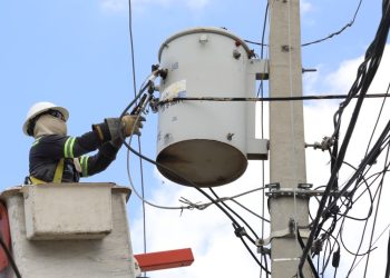 Este 2025, todo apunta a que el récord fatal de pérdidas y gasto en subsidio de 2024 será superado.