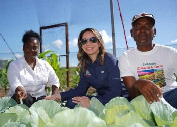 Casa sombra es un sistema de producción dentro de la agricultura protegida, donde se regula la cantidad de luz y se asegura mejor calidad de la producción.