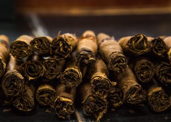 Este sector representa el 10 % de las exportaciones nacionales.