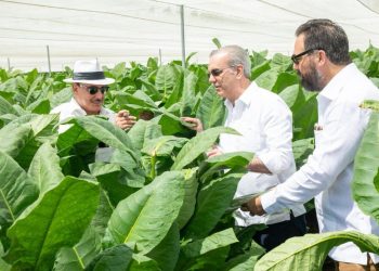 Abinader recorre la finca tabacalera “La Milagrosa” junto a directivos de Arturo Fuente.