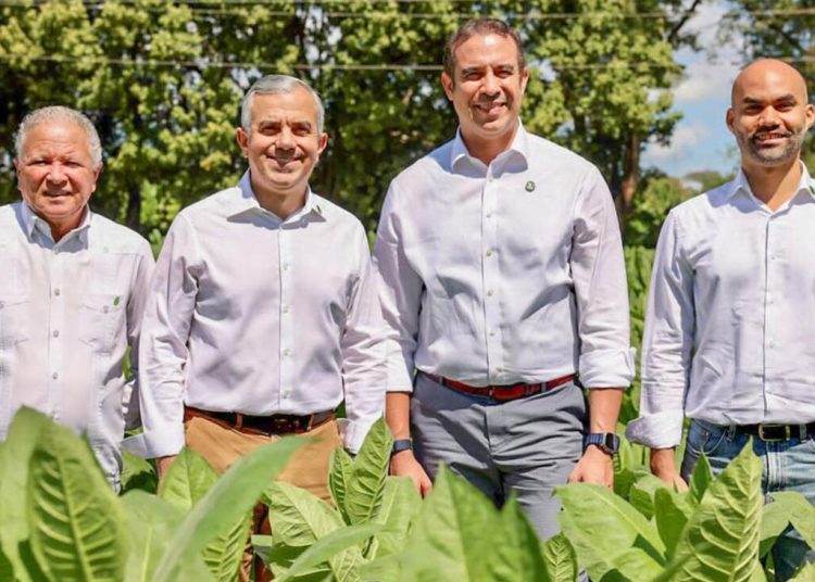 Intabaco informó que las exportaciones de tabaco y sus derivados aumentaron RD$1,183 millones en el 2025.