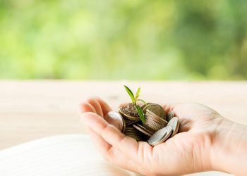 Sector financiero dominicano avanza en taxonomía verde, pero desafíos persisten en su adopción.