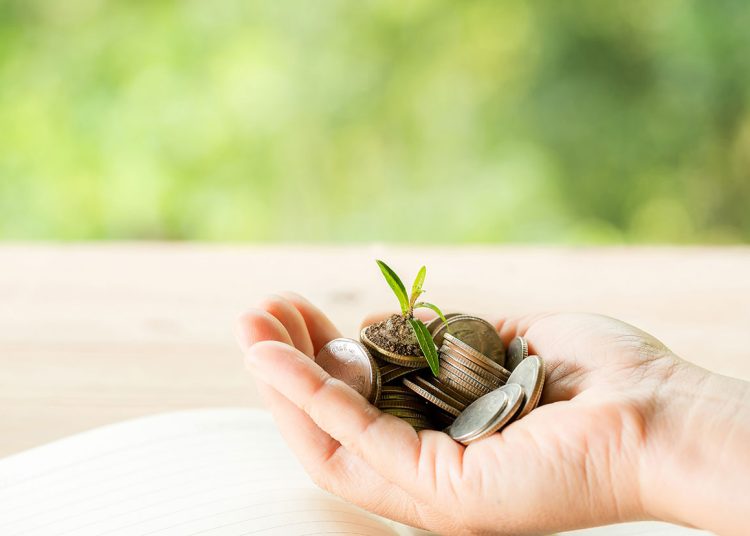 Sector financiero dominicano avanza en taxonomía verde, pero desafíos persisten en su adopción.