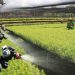 Mujer agricultora - Fuente externa.