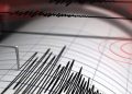El USGS informó que el movimiento telúrico se produjo a una profundidad de 71.3 kilómetros.