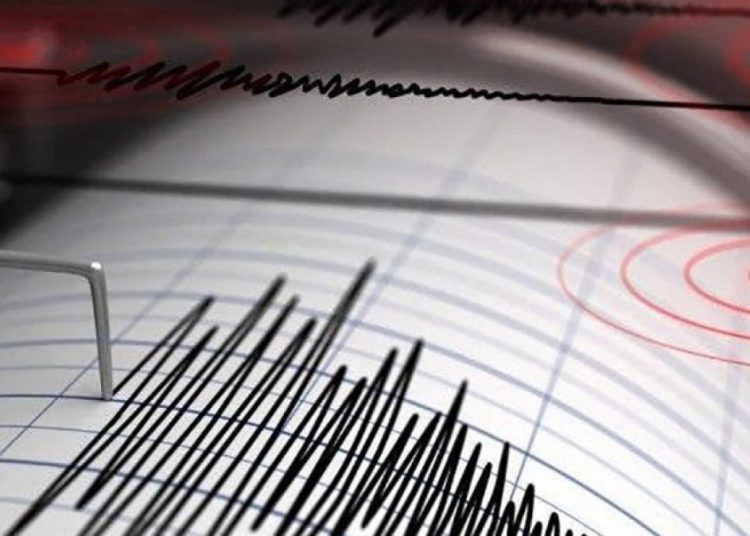 El USGS informó que el movimiento telúrico se produjo a una profundidad de 71.3 kilómetros.