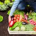 La actividad buscó sensibilizar sobre el cambio climático, su impacto, tendencias sobre mitigación y adaptación en el sector agropecuario para generar motivación y conocimientos base para la acción climática. - Fuente externa.