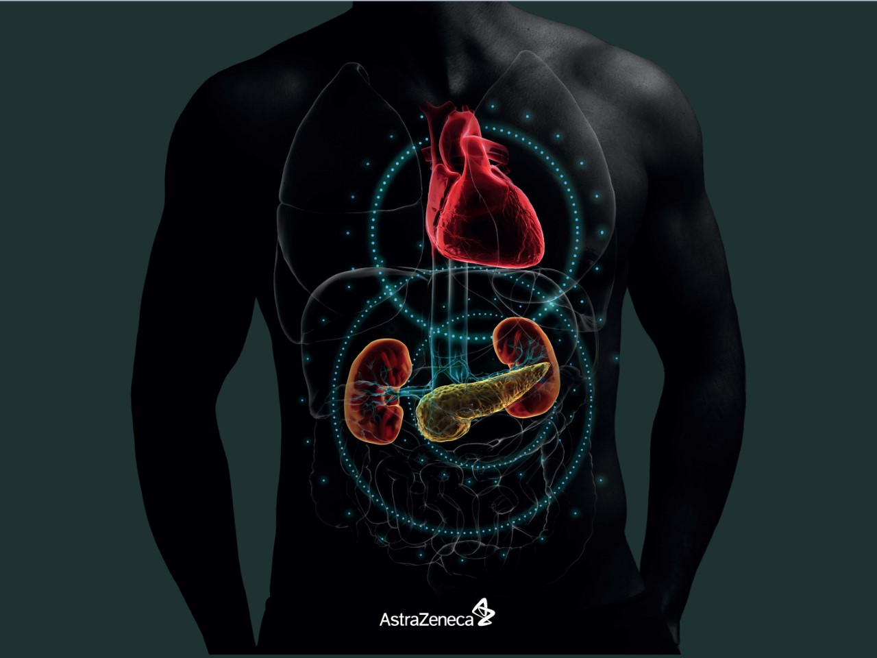 thumbnail foto cardiovascular