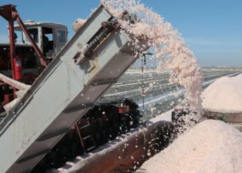 El litio, un metal clave para la fabricación de vehículos eléctricos, está incluido en la lista de 50 minerales considerados críticos por el Servicio Geológico de Estados Unidos.