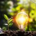 El Proyecto de la USAID para la Reforma del Sector Energético tiene como una de sus prioridades apoyar la participación del sector privado en el desarrollo y la modernización del sistema energético en el país. - Fuente externa.