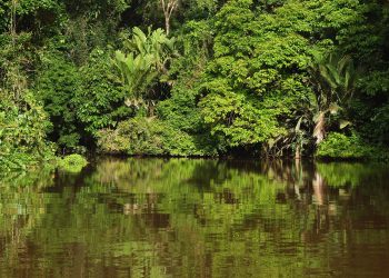 Parque Nacional Tortuguero, Costa Rica. | Pixabay.