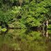 Parque Nacional Tortuguero, Costa Rica. | Pixabay.