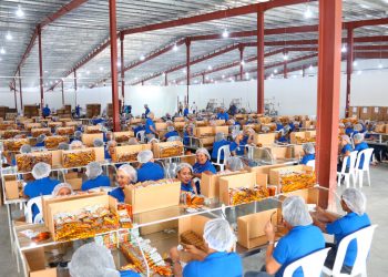 El sistema de seguridad social establece un plan de pensiones mediante el ahorro individual.