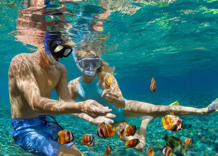 Al detallar los datos analizados entre 2019 y 2024, se observa que desde 2021 se ha registrado un aumento constante en la llegada de turistas indios al país.